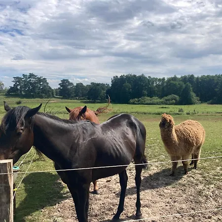 Ferienhaeuser Inselblick