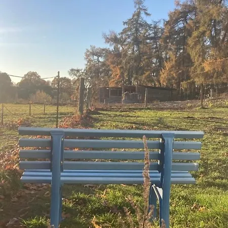 Ferienhaeuser Inselblick * Lohmen (Mecklenburg-Vorpommern)
